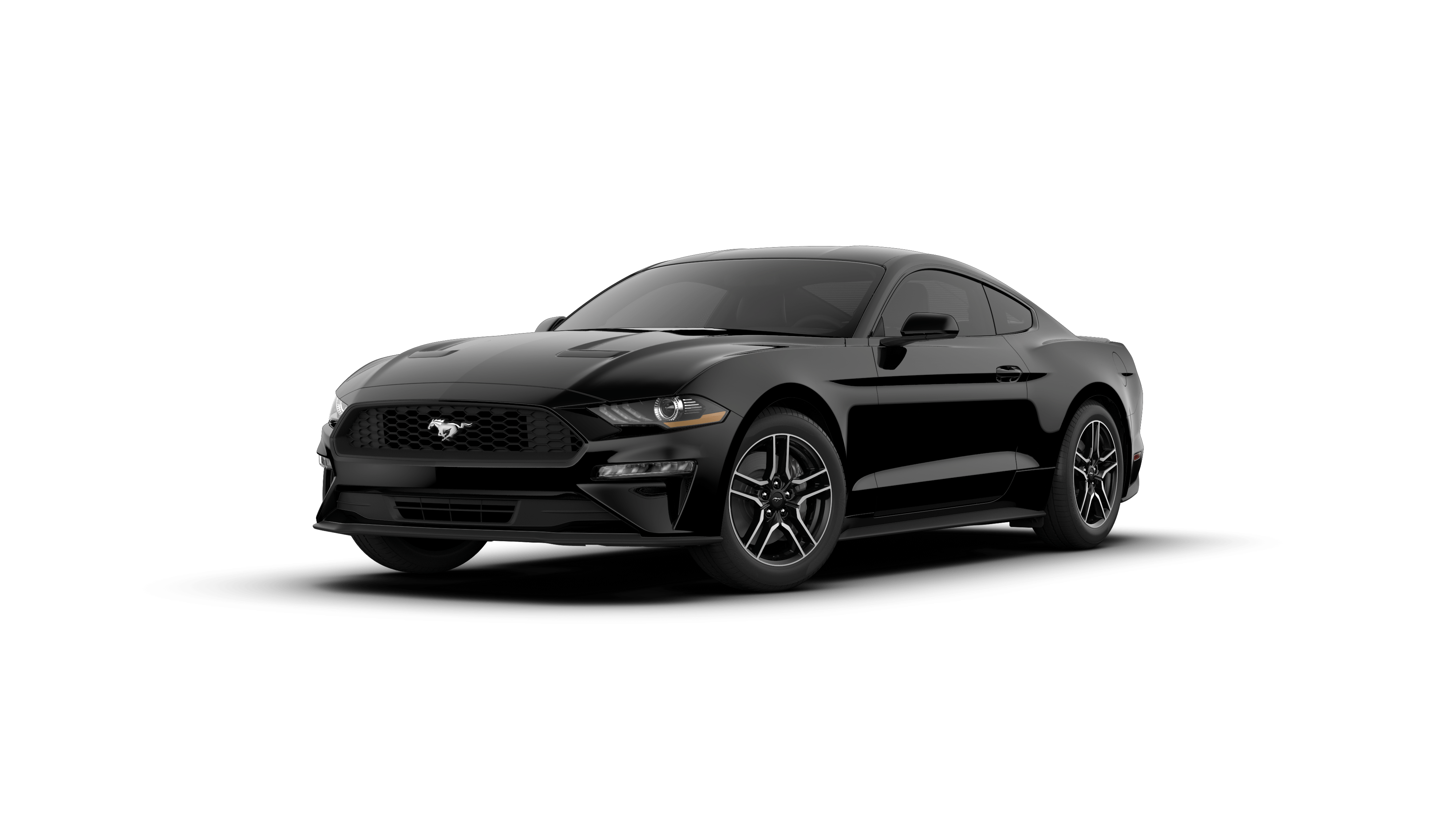 shop 2019 ford mustang vehicles for sale in souderton